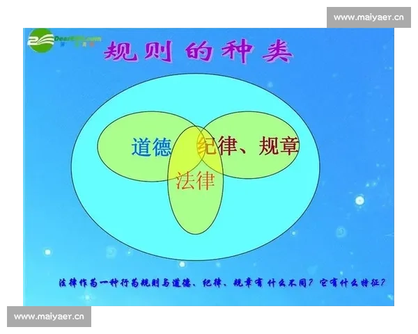 《分界线》揭示现代社会道德与法律边界的冲突与选择探索